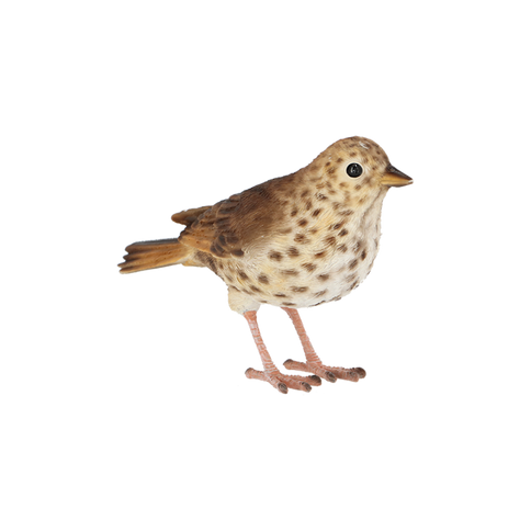 Song Thrush Garden Bird Ornament Sculpture Realistic Lifelike Frost Proof Figure