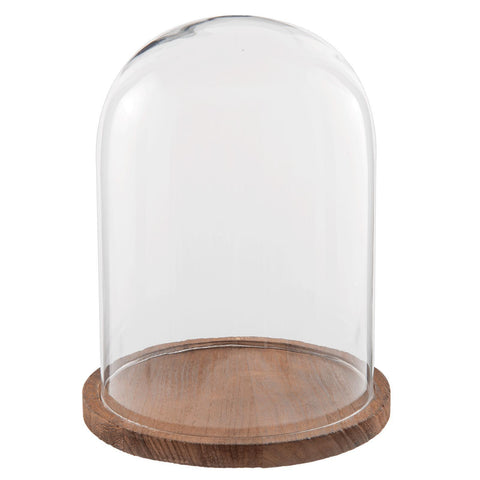Glass Display Cloche Bell Jar Dome Flower Preservation Cover Wooden Base 29 cm