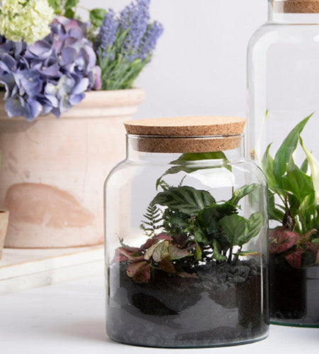 Small Recycled Clear Glass Terrarium Planter Pot Bottle 5L Half Open Cork Lid