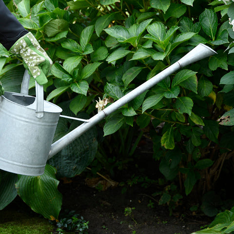 Galvanised Metal Watering Can Long Reach Spout 6 Litre Zinc Garden Plant Rustic
