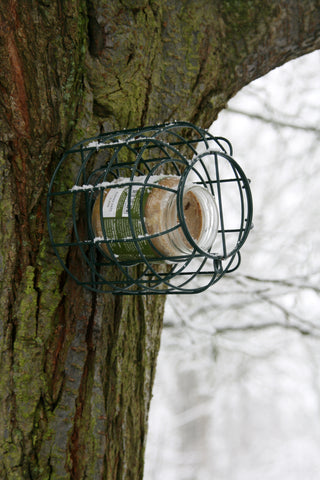 Green Squirrel Proof Bird Cage Peanut Butter Feeder 15.5cm