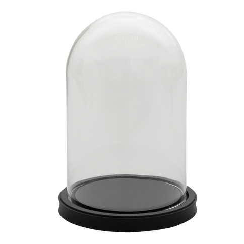 Glass Display Cloche Bell Jar Dome Flower Preservation Vase Black Wood Base 25cm