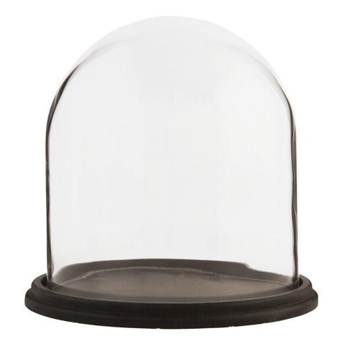 Glass Display Cloche Bell Jar Dome Flower Preservation Vase Wooden Base 22cm