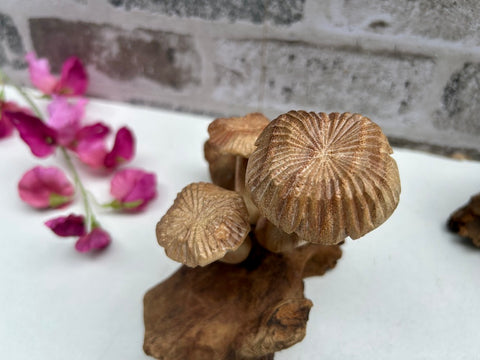 Wooden Mushroom Teak Root Toadstool Sculpture Hand Carved Driftwood Ornament