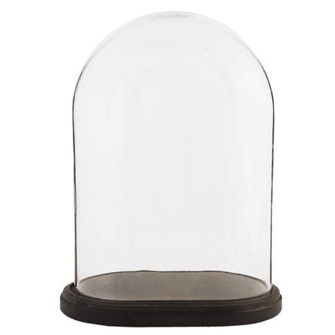 Glass Display Bell Jar Oval Cloche on Dark Wood Base Display Stand 42cm