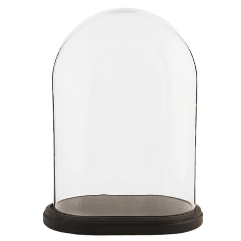 Glass Display Bell Jar Oval Cloche on Dark Wood Base Display Stand 42cm 