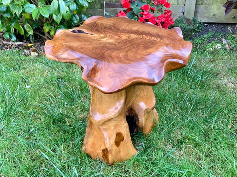 Teak Root Wooden Table Solid Wood End Side Snack Lamp Table Hand Carved Mushroom