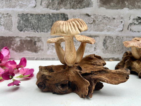 Wooden Mushroom Teak Root Toadstool Sculpture Hand Carved Driftwood Ornament