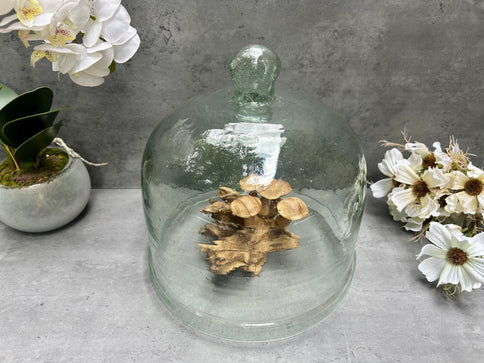Recycled Glass Display Dome Cloche Bell Jar Flower Cake Cover with Handle 24cm