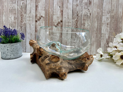 Molten Glass Fruit Bowl Teak Drift Wood Base Rustic Pot Pourri Nut Dish Ornament