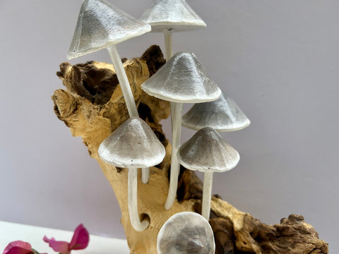 Driftwood Mushroom Sculpture Ink Cap Toadstools on Wood Ornament Teak Tree Root