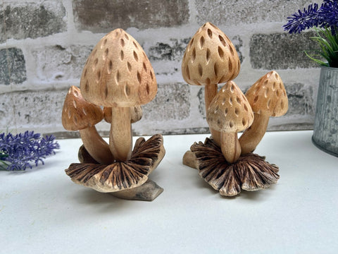 Wooden Strawberry Mushroom Toadstool Sculpture Hand Carved Driftwood Ornament