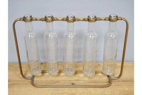 Cuttings Vase Glass Bottles Gold Metal Stand Hydroponic Propagation Plant Tubes Table Decor