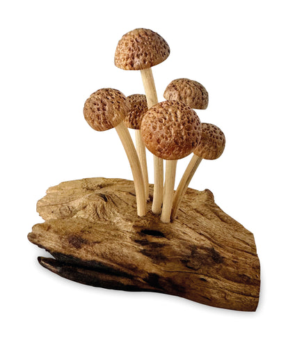 Mushroom Wooden Toadstool Ornament Teak Root Driftwood Sculpture Hand Carved