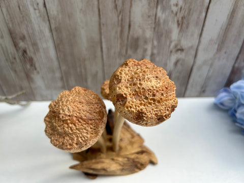 Wooden Shitake Mushroom Toadstool Sculpture Hand Carved Driftwood Root Ornament