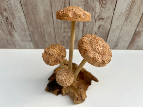 Wooden Shitake Mushroom Toadstool Sculpture Hand Carved Driftwood Root Ornament