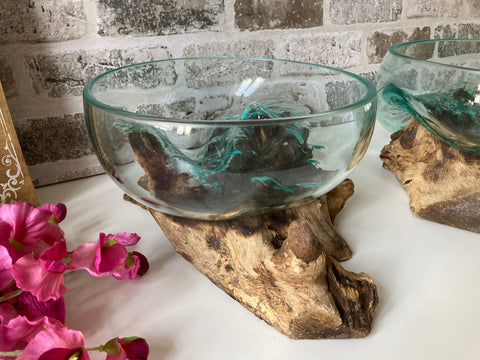 Molten Glass Fruit Bowl on Gamal Root Drift Wood Base Rustic Pot Pourri Nut Dish
