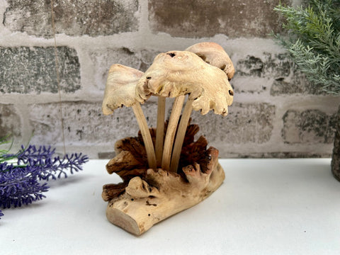 Wooden Bali Mushroom Ornament Toadstool Sculpture Handcarved Driftwood Teak Root