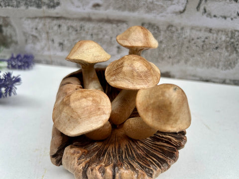 Wooden Mushroom Toadstool Sculpture Teak Root Hand Carved Driftwood Ornament