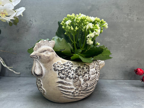 Plant Flower Pot Hen Planter Terracotta Garden Indoor Outdoor Cream Grey Chicken - Egg Holder