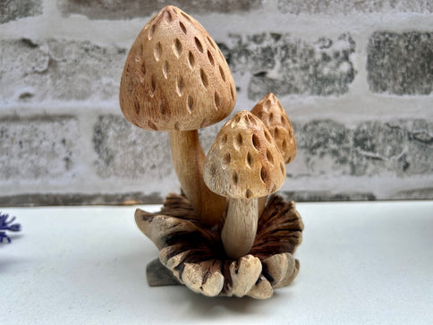 Wooden Strawberry Mushroom Toadstool Sculpture Hand Carved Driftwood Ornament