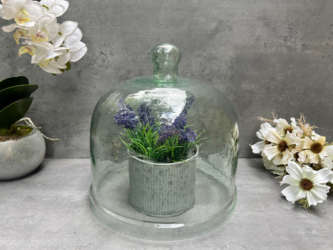 Recycled Glass Display Dome Cloche Bell Jar Flower Cake Cover with Handle 24cm