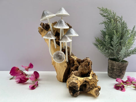 Wooden Bali Mushroom Colony Driftwood Sculpture Ornament Gift - Handcarved Teak Root - MUS1