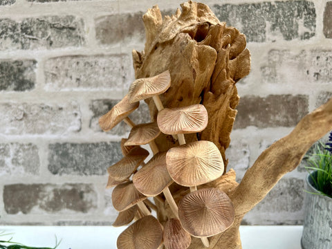 Wooden Mushroom Toadstool Sculpture Hand Carved Driftwood 15 Mushrooms Ornament
