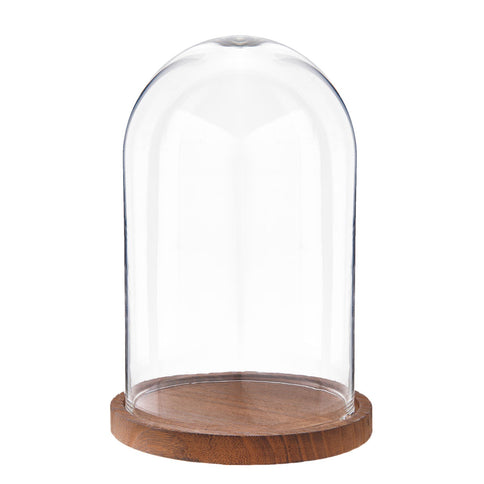 25cm Glass Display Bell Jar Round Cloche on Dark Wood Base Display Stand