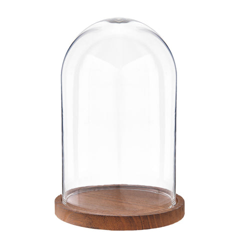 25cm Glass Display Bell Jar Round Cloche on Dark Wood Base Display Stand 