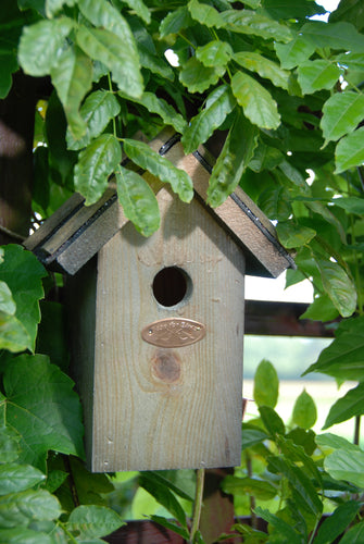 Bird House Nest Nesting Box for Wren Bitumen Roof FSC Certified Wood 21.5cm