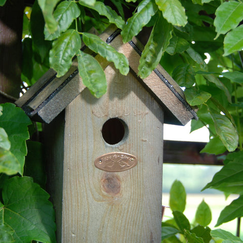 Bird House Nest Nesting Box for Wren Bitumen Roof FSC Certified Wood 21.5cm