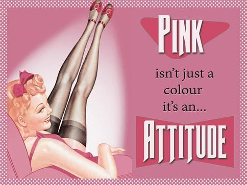 Pink Metal Wall Sign Plaque Attitude Humour Novelty Decor Gift for Girl Woman