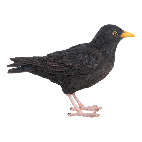 Blackbird ornament