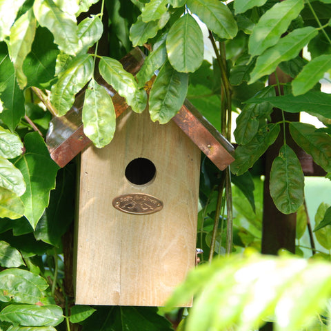 Copper Roof Bird House Nest Nesting Box for WREN FSC Certified Wood 20cm