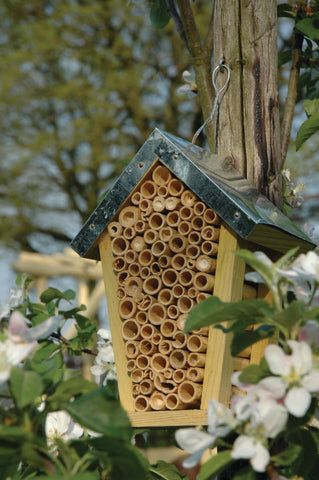 Wooden Solitary Bee Bug House Hive Hotel Zinc Roof FSC Cert Wood Bamboo 20cm