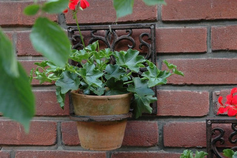 Flower Plant Pot Ring Holder Wall Mounted Hanger Bracket Cast Iron Frame Brown